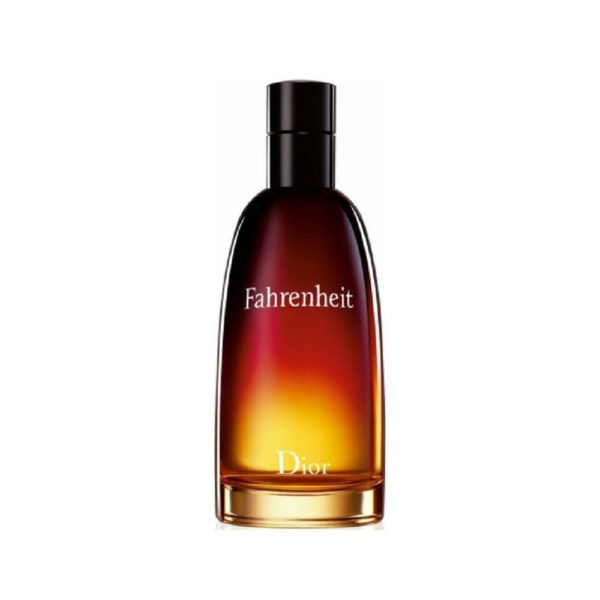 DIOR FAHRENHEIT eau de toilette 100ML